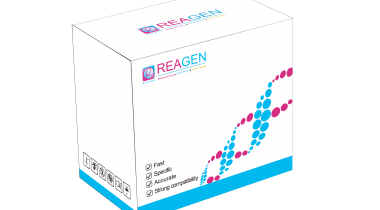 對蝦桿狀病毒（BP）DNA恒溫核酸檢測試劑盒（不含提?。? />
                            </a>
                        </div>
                                            </div>
                </div>
                <div   id="l2z2rhu"   class="col-lg-5">
                    <div   id="l2z2rhu"   class="product-intro">
                        <h1 class=